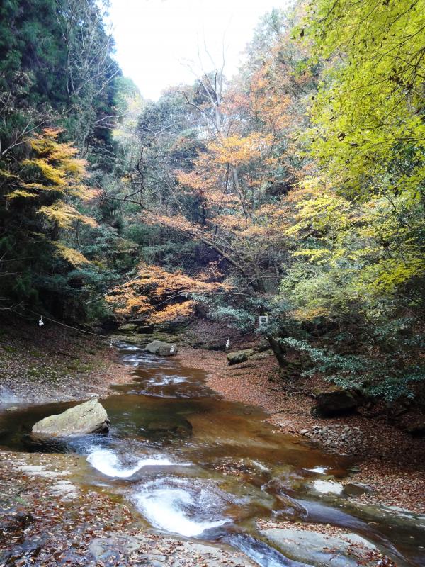 Autumn foliage of Ryuchin Falls
